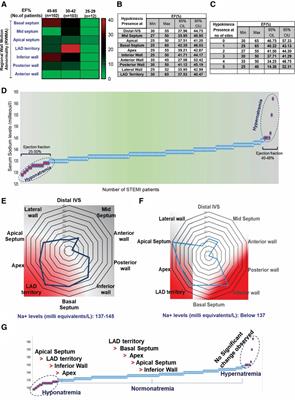 Influence of electrolyte imbalance on regional wall motion abnormalities in STEMI patients of North Indian origin